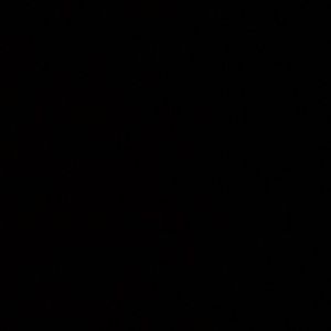 Meet your Posher, Amir